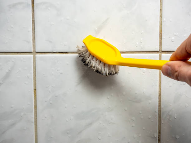 Water Damage Restoration in Deer Park, WA