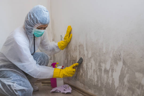 Best Mold Testing  in Deer Park, WA