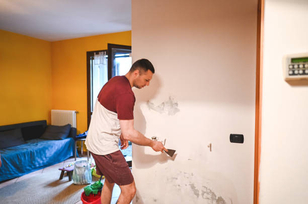 Best Professional Mold Removal  in Deer Park, WA
